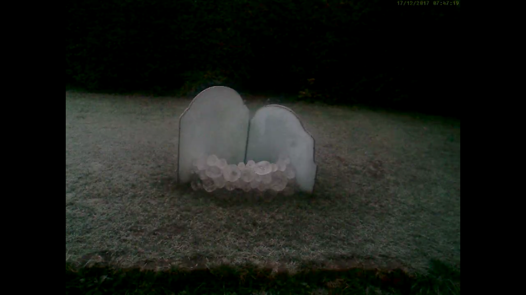 Rev{o,e}l{u,a}tions series, 2018