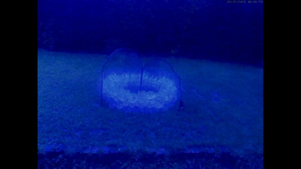 Rev{o,e}l{u,a}tions series, 2018