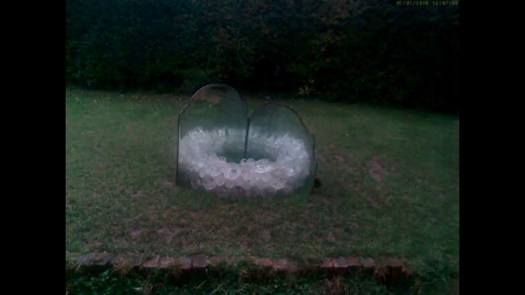 Rev{o,e}l{u,a}tions series, 2018