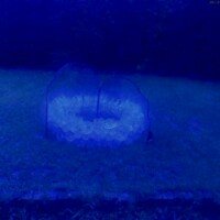 Rev{o,e}l{u,a}tions series, 2018