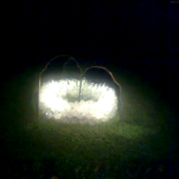 Rev{o,e}l{u,a}tions series, 2018