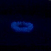 Rev{o,e}l{u,a}tions series, 2018