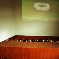 ‘Rev{o,e}l{u,a}tions Series’, 2017